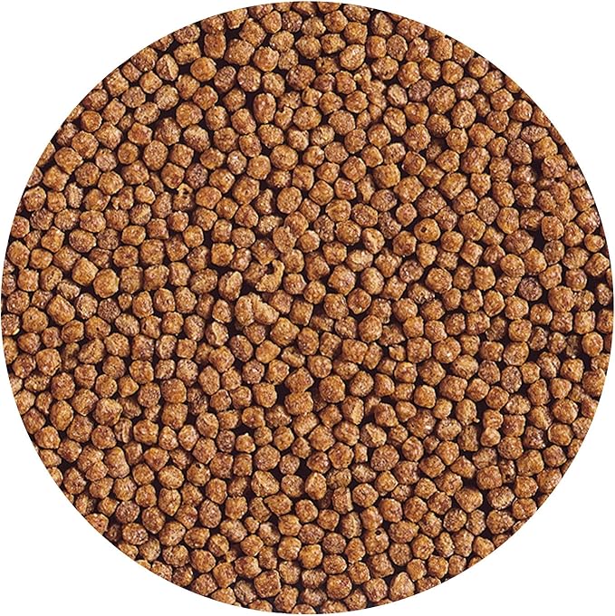 Hikari Gold Gold Fish Food 10.5 Oz - Baby Pellet