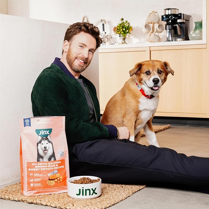 Jinx Premium Dry Dog Food, for All Lifestages - Real Beef, Brown Rice & Sweet Potato Kibble with Superfoods for Immune Support & Probiotics for Digestive Support - No Fillers - 11.5lb