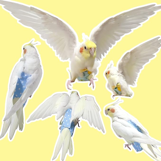 Bird Diaper Harness Flight Suit Clothes with 80 Inch Flying Leash Rope for Parrots Conure Cockatiel Pet Birds Weight 80-105 Grams，3 Pieces Including Three leashes and Three Cotton Pads