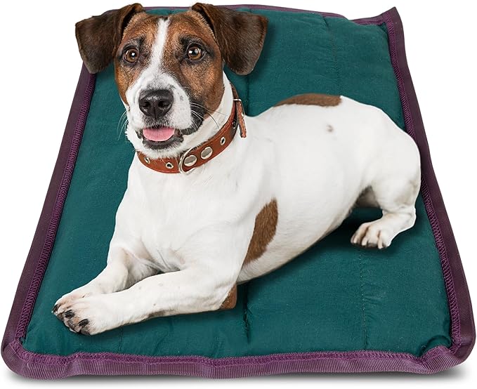 Jeffers Pet Comfort Dog Pillow, Tiny 12" x 18", Dark Green – Machine Washable Dog Bed for House, Sofa, Crate & Travel – Poly Cotton Shell, Winter Warmth, Soft, Comfy, Durable, Top Pet Bedding