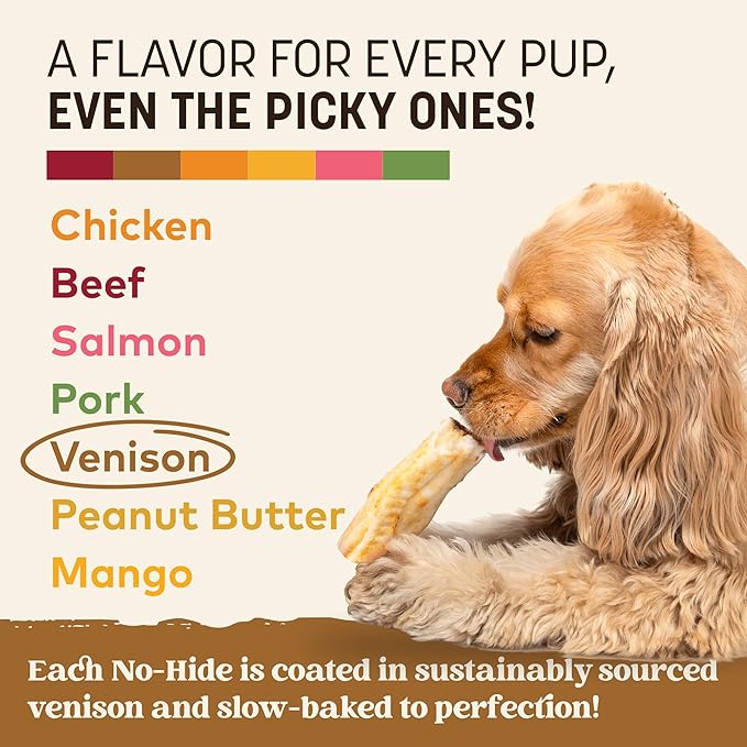 Earth Animal No Hide Chews - Long Lasting Rawhide Free Small Dog Chews Rolls, Venison - 2 Count