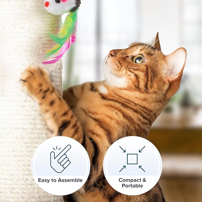 PETMAKER Cat Scratching Post - Tall Scratcher for Cats and Kittens with Sisal Rope and Carpet, Hanging Mouse Toy for Interactive Play (24.5 Inch)