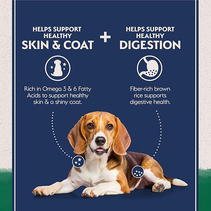 Natural Balance Limited Ingredient Adult Dry Dog Food with Healthy Grains, Lamb & Brown Rice Recipe, 24 Pound (Pack of 1)