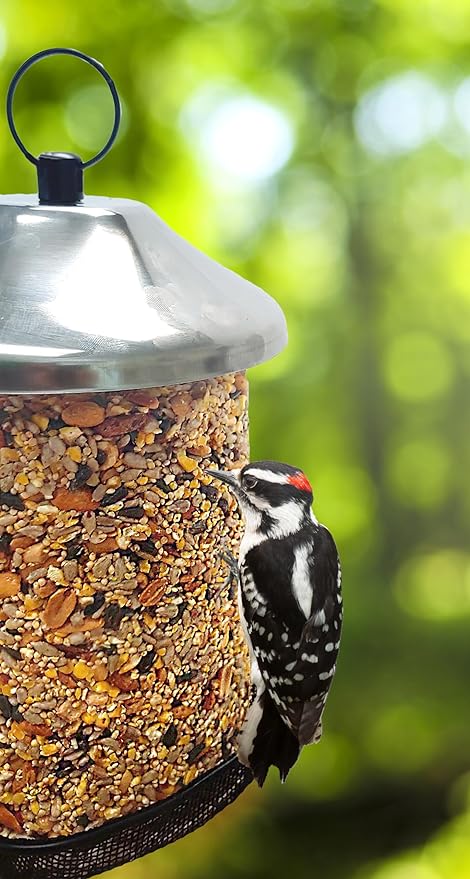 Wildlife Sciences Songbird Treats Seed Tower 2 Packs | Bundle of 2 | 1.5-2 lb Seed Log Towers for Wild Birds (Sunny Mealworm)