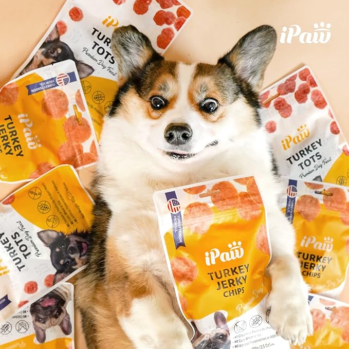 iPaw Turkey Chips Dog Treats for Puppy Training, All Natural Human Grade Dog Treat, US Sourced Raw Material, Hypoallergenic, Easy to Digest (Turkey Chips)