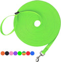 Hi Kiss Dog/Puppy Obedience Recall Training Agility Lead - 15ft 20ft 30ft 50ft 100ft Training Leash - Great for Training, Play, Camping, or Backyard (30 Feet, Green)