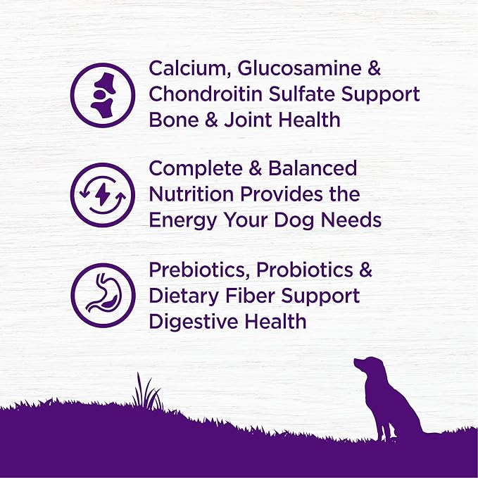 Wellness Complete Health Age Advantage Senior Dry Dog Food, Wholesome Grain Kibble, Natural, Chicken and Barley Recipe, 15 lb Bag