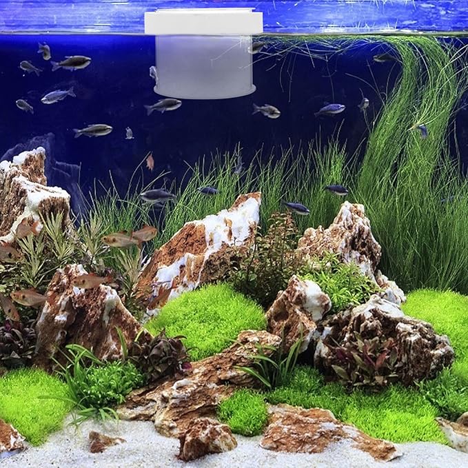Mipcase Floating Fish Box Acrylic Aquarium Fish Breeding Box Guppies Hatching Incubator for Hatchery 10X10X8CM