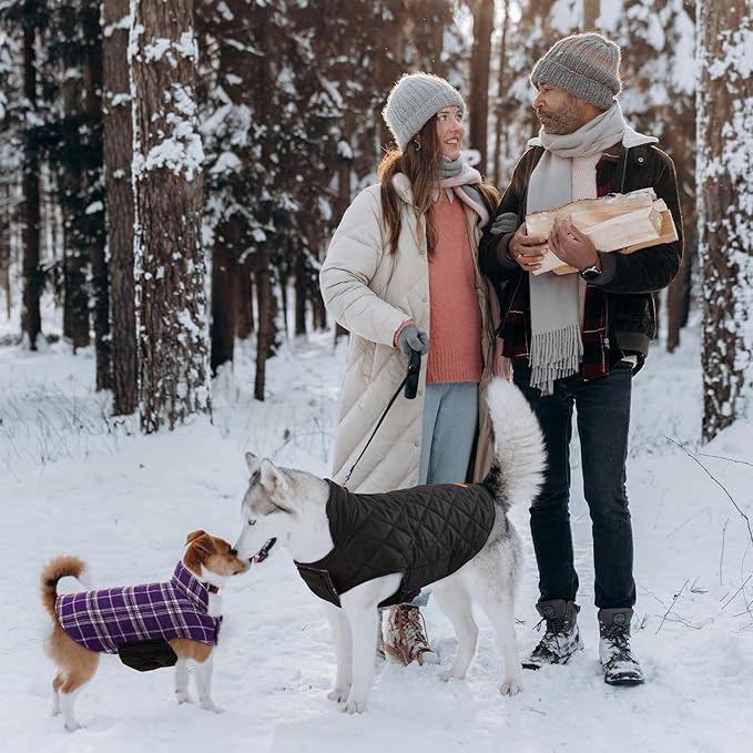 Kuoser Warm Dog Coat, Waterproof Dog Coats for X-Small Dogs, Adjustable Durable Doggie Winter Jacket Reversible Cozy Puppy Cold Weather Apparel from Small to Large Breed, Purple XS