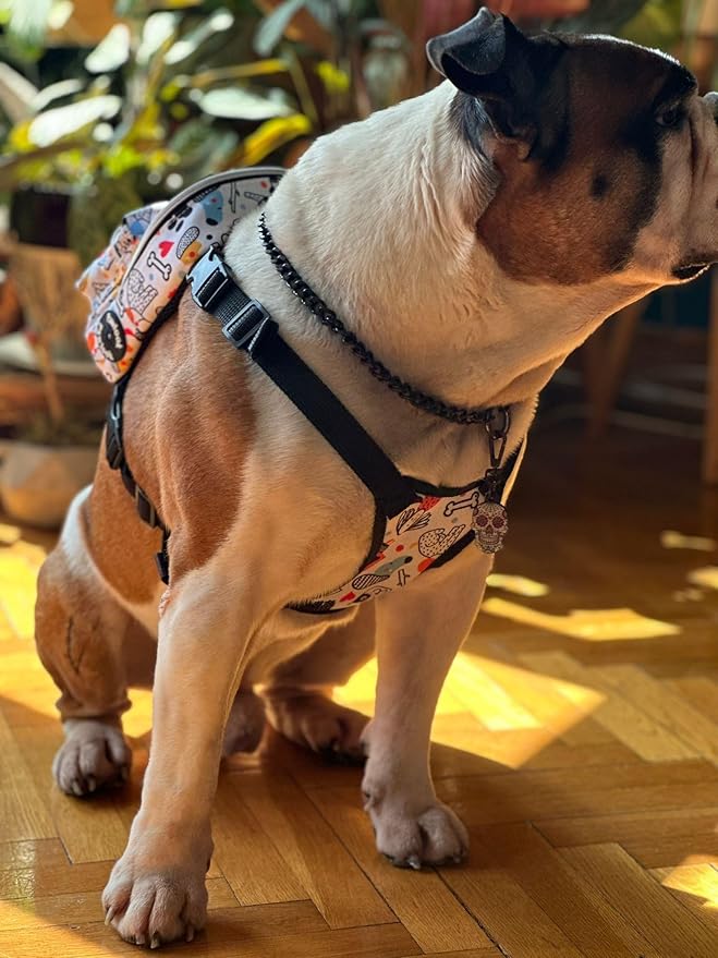 PawLook Dog Backpack to Wear with Chest Harness Self Carrier dogbag with Additional Pocket for Poop Bag Anti Slip Stylish Dog Bag for Your pet Street Smart Serie White Bone Medium
