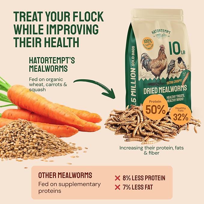 Hatortempt Bulk Dried Mealworms - 10 Lb Bag - Non-GMO Dried Mealworms for Chickens, Ducks & Wild Birds - High-Protein Chicken Feed & Bird Food