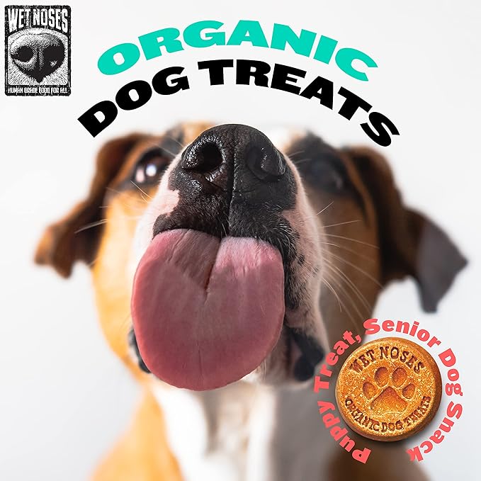 Wet Noses Organic Crunchy Dog Treats Grain Free – All-Natural, Human-Grade, Non-GMO, Healthy Training & Delicious Snacks for Dogs, for All Dog Sizes & Breeds – Apple & Ginger, 14oz (Single Pack)