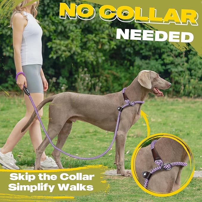 Fida Durable Slip Lead Dog Leash Bulk Pack of 5, Heavy Duty 1/2" x 6 FT Comfortable Strong Rope Slip Lead for Large, Medium Dogs No Pull Pet Training Leash with Highly Reflective, Purple