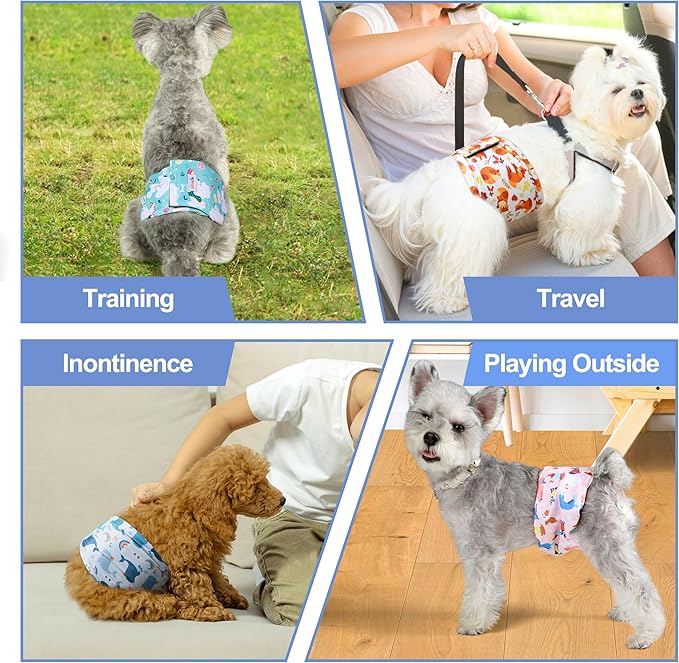 5 Pack Dog Diapers Male Reusable, Premium Belly Bands for Dogs, High Absorbing Male Dog Pee Wraps for Doggie in Incontinence or Excitable Urination,Squirrel XL