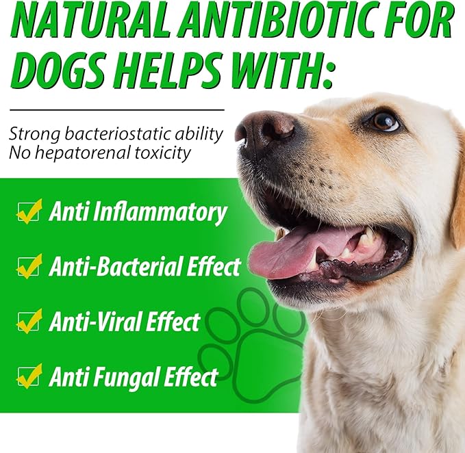 Antibiotics for Dogs, Natural Antibiotics for Dogs, Dog Multivitamin for Pets, Dog Supplies Antibiotics, Dog Allergy and Itch Relief - 60ML