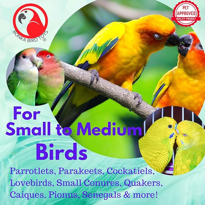 Bonka Bird Toys 2918 Large Pk6 Round Plastic Snowflakes Parrot Toy, Conure, Amazon, African Grey, and Similar