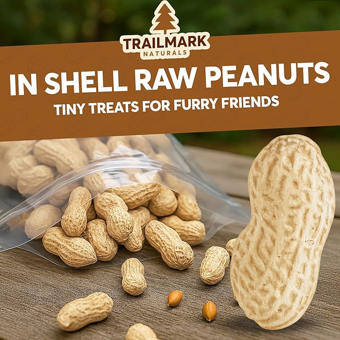 1 LB - Raw Peanuts For Squirrels, Raw In Shell Peanuts For Birds and Wildlife- Squirrel Food, Wild Bird Seed - Grown in The USA