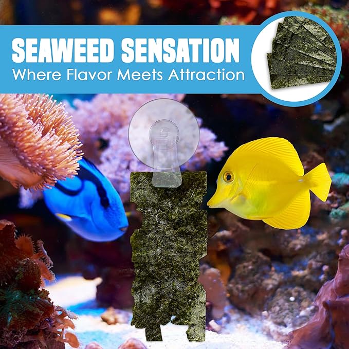JOR 20 Seaweed Sheets for Tangs, Angels, Plecos, Shrimp, Snails, Nutrient- & Vitamin-Rich, Dried Snack for Bottom Feeders, Increased Palatability for Grazing Fish, 1 oz. Pet Feed