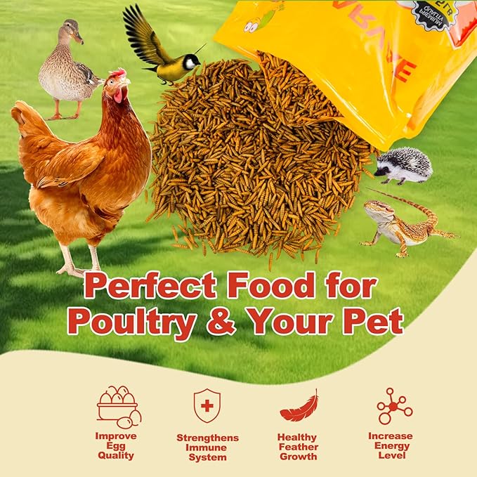 5.5LB Dried Black Solider Fly Larvae, BSFL is High Protein Chicken Feed with 85x More Calcium Than Dried Mealworms, Poultry Treats, Chickens Love, Birds Love, Hens Love, Ducks Love
