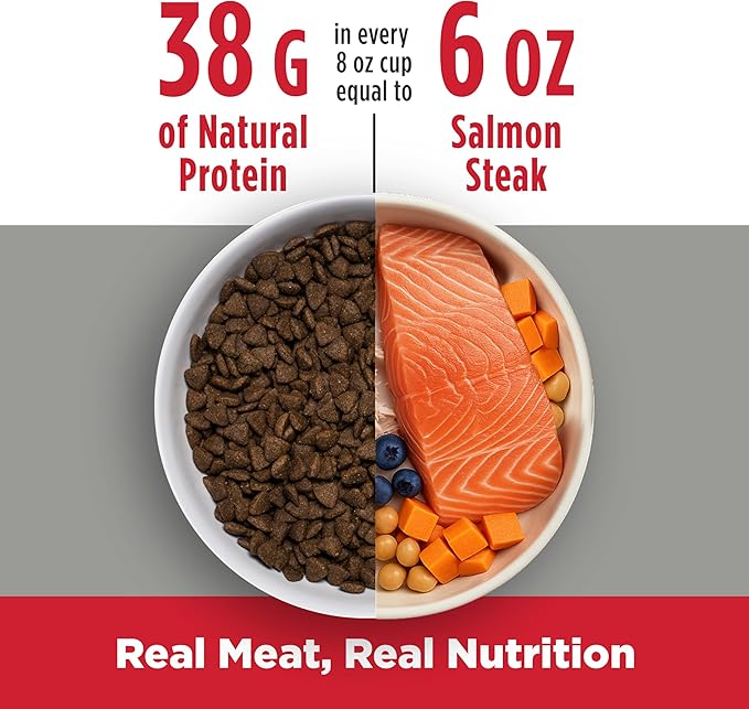 Nulo FreeStyle Small Breed Dog Food Dry - Salmon & Lentils, Puppy & Adult Grain Free Dog Food, Natural, High Protein, Smaller Sized Kibble with BC30 Probiotic for Healthy Digestion Support, 6lb