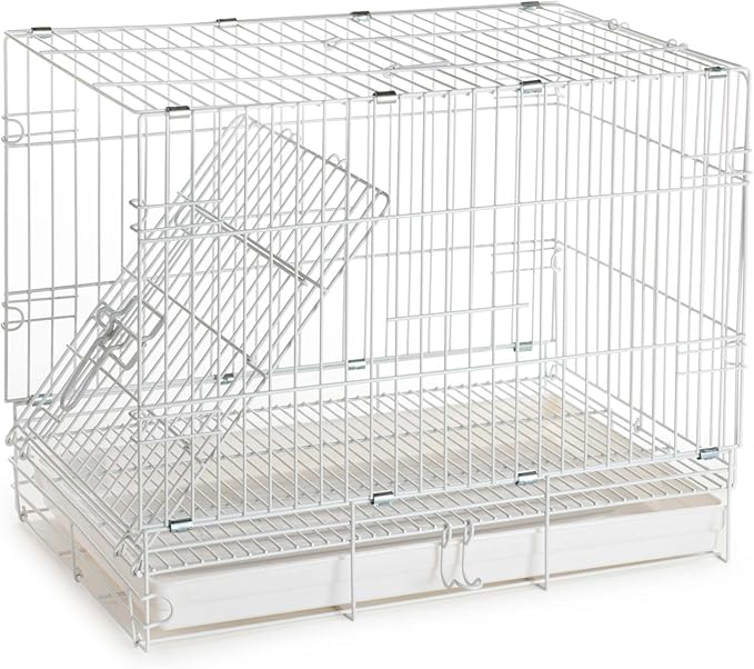 Large Durable Metal Travel or Veterinary Easy Collapsable Parrot Bird Carrier Beaks Proof Carrier Cage Easy Clean Pull Out Tray Stainless Steel Feeder Bowls Natural Wooden Perch
