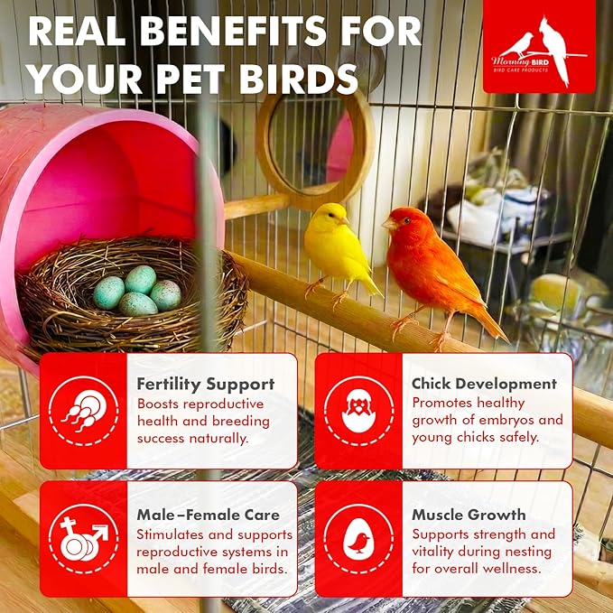 Morning Bird Nesting Nudge 2 Oz – Supports Reproductive Health & Energy – Stimulates Male and Female Reproductive Systems - Breeding Supplement with Essential Amino Acids & Vitamin D3