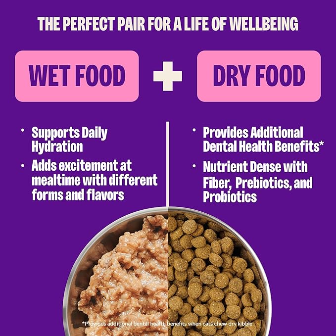 Wellness Complete Health Pate Adult Wet Cat Food, Natural, Protein-Rich, Grain Free, 12.5 Ounce, 12 Pack, (Chicken)