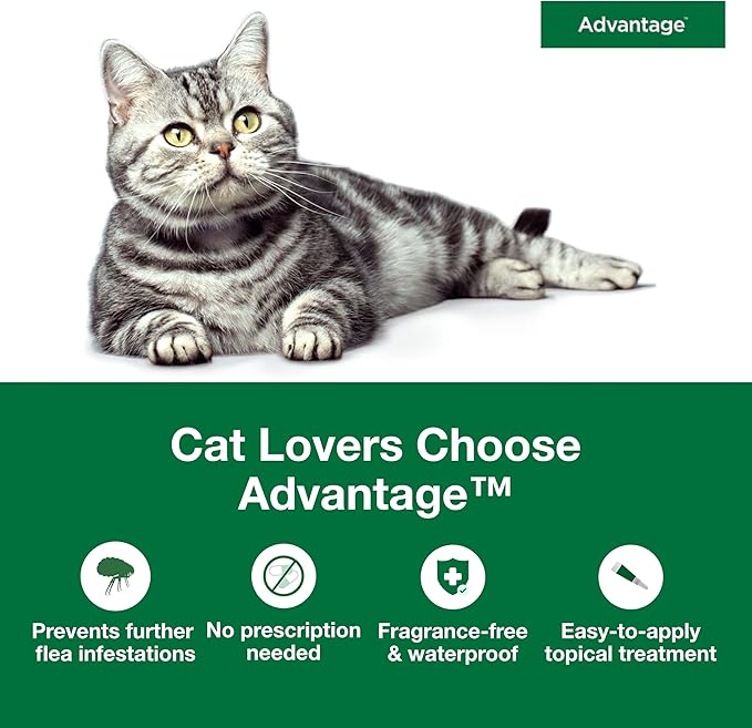 Advantage Topical Cat Flea Treatment and Prevention for Large Cats Over 9 lbs. | Apply Flea Drops Monthly | 2 Treatments,(Pack of 3)