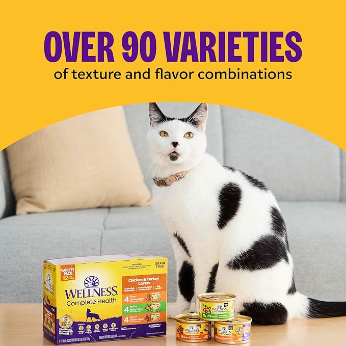 Wellness Complete Health Pate Adult Wet Cat Food, Natural, Protein-Rich, Grain-Free, 3 Ounce, 12 Pack, (Seafood Variety Pack)
