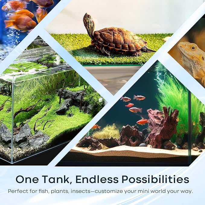 10 Gallon Glass Fish Tank Open-Back Lid, Aquarium Fish Bowl Cube for Betta Goldfish Snails Shrimp Aquatic Planting, Ultra Clear Rimless Low Iron