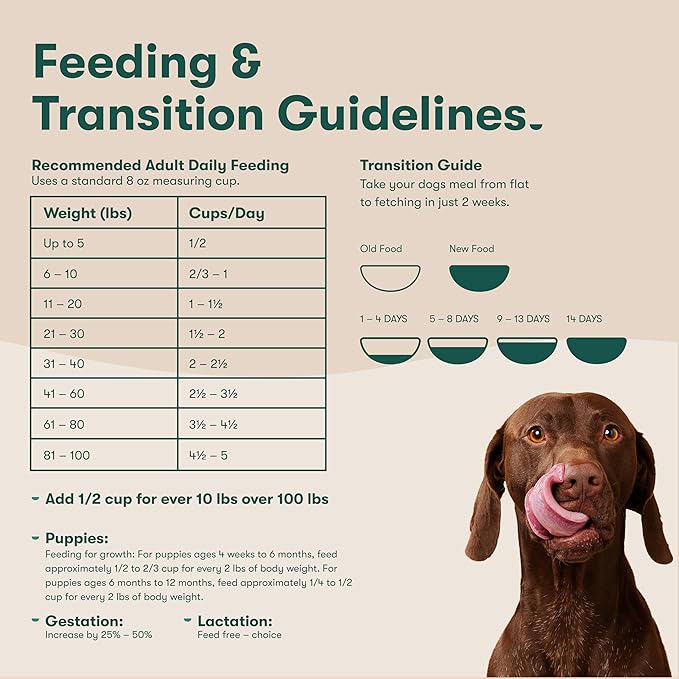 Jinx Premium Dry Dog Food, for All Lifestages - Real Chicken, Brown Rice & Sweet Potato Kibble with Superfoods for Immune Support & Probiotics for Digestive Support - No Fillers - 4lb (Pack of 2)