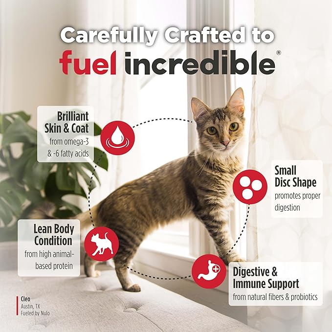 Nulo FreeStyle High Protein Cat & Kitten Food, Turkey & Duck Recipe - Natural Grain-Free Dry Cat Food with Omega Fatty Acids & Probiotics, 14 lb Bag