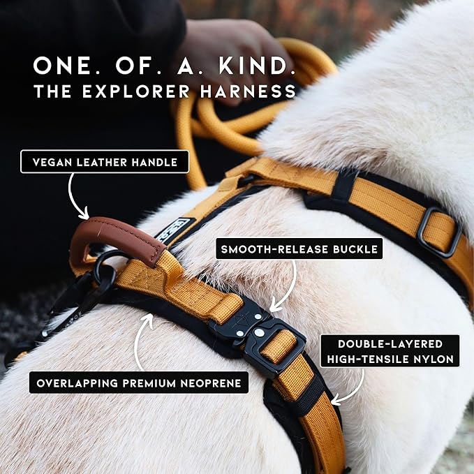 MADE TO ROAM Premium Explorer Harness - Y-Shaped Dog Harness with Adjustable Durable Nylon, Soft Padding, Metal Buckles and Leather Handle for Small, Medium, Large Dogs (Vermont Weekends, Size 5)