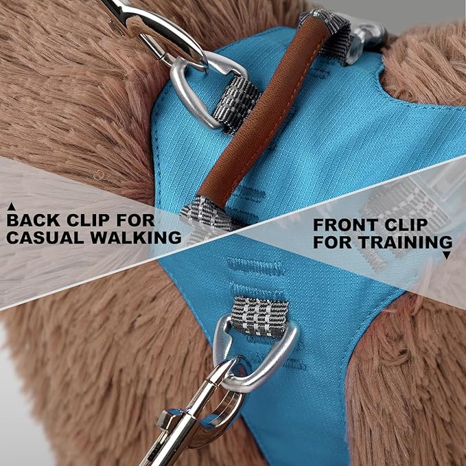 No Pull Dog Harness – Adjustable Reflective Nylon Vest for Small Medium Large Dogs, Escape Proof Training Harness with Leather Control Handle, Lightweight Aluminum Hardware (Cyan, L)