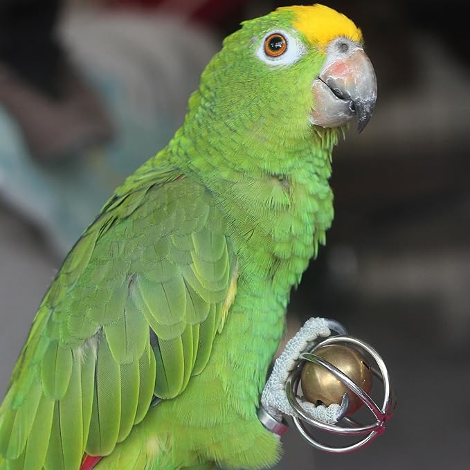 Fosrion Heavy Duty Stainless Steel Bird Toy for Large Parrots - Chew-Proof Foraging Ball with Bell for Macaws, Cockatoos, African Greys (Large)