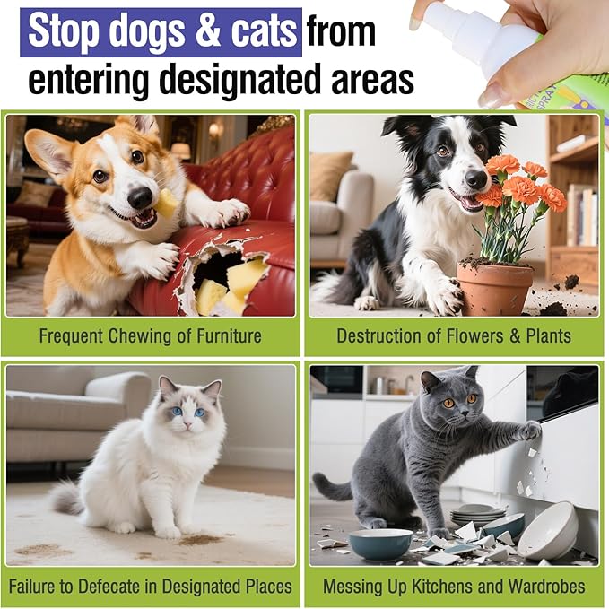 Pet Deterrent Spray - Stops Cat & Dog Peeing, Chewing, Scratching, Natural Citrus & Lemon Formula, Safe, Stain-Free Pee Corrector for Furniture, Shoes Indoor & Outdoor Training (4oz)