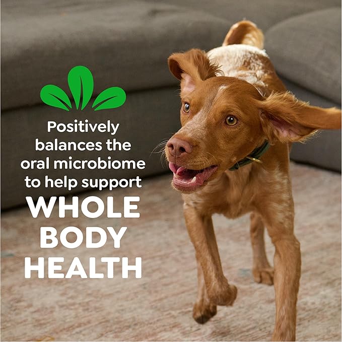Greenies Veterinarian-Recommended Adult Natural Dental Dog Treats Teenie Size, Dog Dental Chews, Original Flavor, 36 oz. Pack, 130 Count