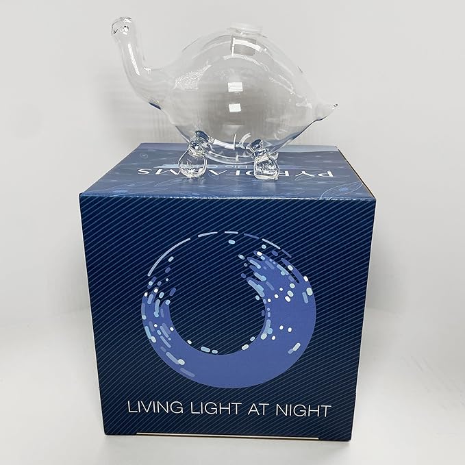 Bioluminescent Bio-Turtle Gift Option, Glass Turtle Micro-Aquarium, Redeemable PyroDino Card for Live PyroDinos and DinoNutrients
