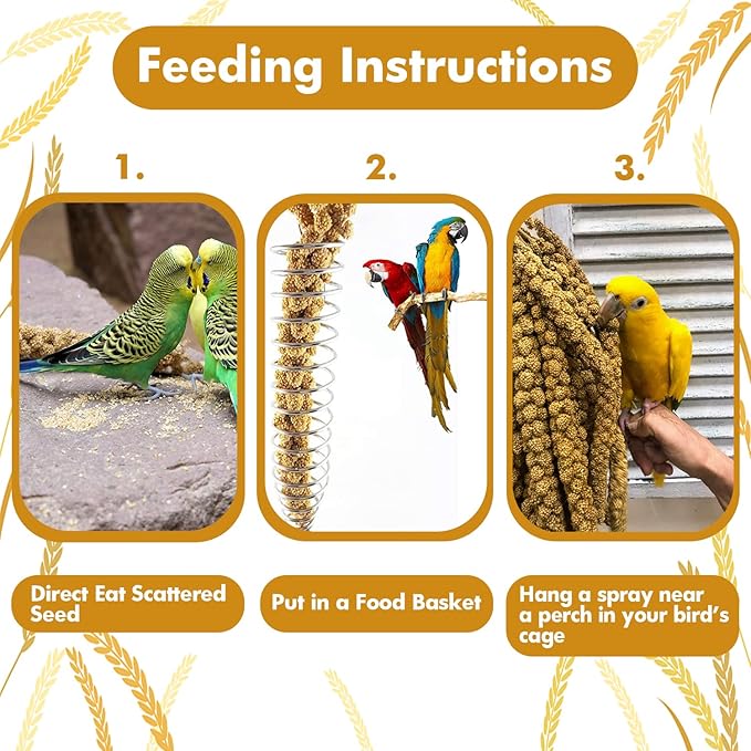 Jmxu's Spray Millet Treat for Birds Parakeets, Natural Sun-Dried Birds Millet for Cockatiel, Budgie, Finches, Parrots, Hamster (2 Pounds)