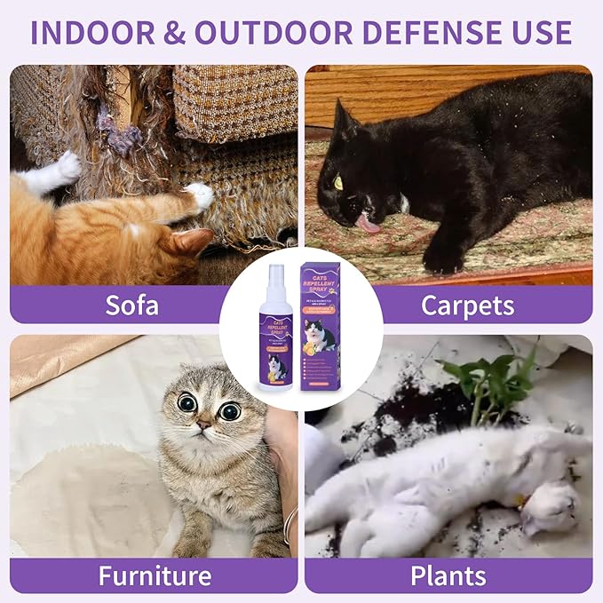 Cat Scratch Deterrent Spray, Cat Repellent Spray Indoor and Outdoor for Cat and Kitten, No Scratch Spray Training Aid for Furniture, Sofas, Rugs, Curtains - Non-Toxic, Alcohol-Free Formula