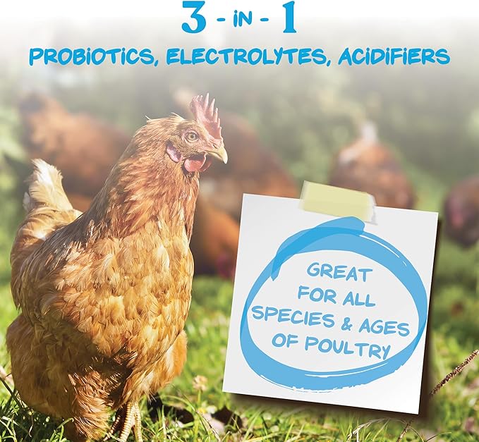 Manna Pro Hydro-Hen Poultry Electrolyte & Probiotic Supplement, Hydration Support for Chickens, Ducks, Turkeys & Waterfowl, 20 oz