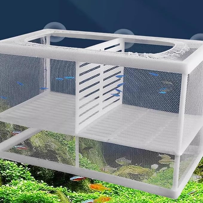 2PCS Protective Aquariums Breeding Cage Netting Nursery Tanks with Suction Cup for Fry Rearing and Secure Observation Fish Breeding Box with Suction Cup
