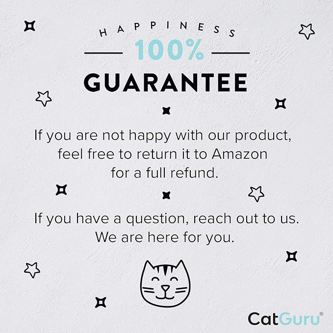 CatGuru Cat Bowls, Whisker Friendly Food Bowl for Indoor Cats, Reliefs Whisker Fatigue, Wide Kitten Dish, Non Slip Pet Dishes, Shallow Pet Plates (Stainless Steel, (Pack of 2))