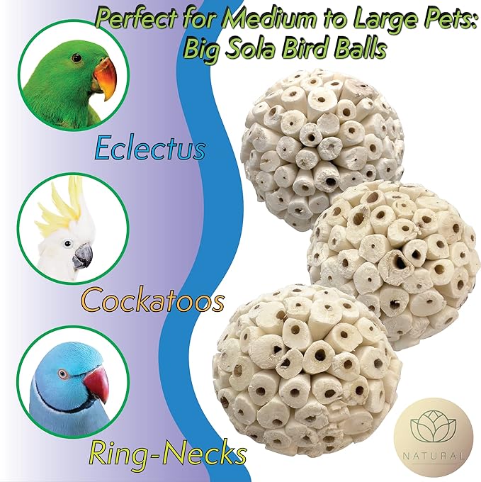 5102 Big Sola Bird Balls Pk6 - Handmade Air Dried Sola Balls, Lightweight Pithy Bird Safe Wood, Great Fun for Beaks and Feet, Ideal for Medium to Large Size Pet Birds Species