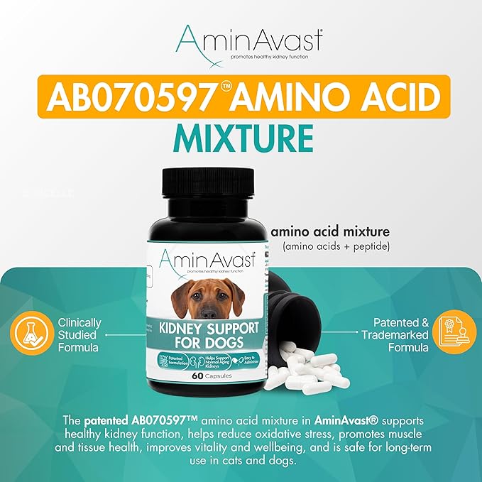 AminAvast Kidney Support Supplement for Dogs, 1000mg 3-Pack - Promotes Natural Kidney Function - Aids in Health and Vitality of Aging Kidneys - Easily Administered - 60 Sprinkle Capsules
