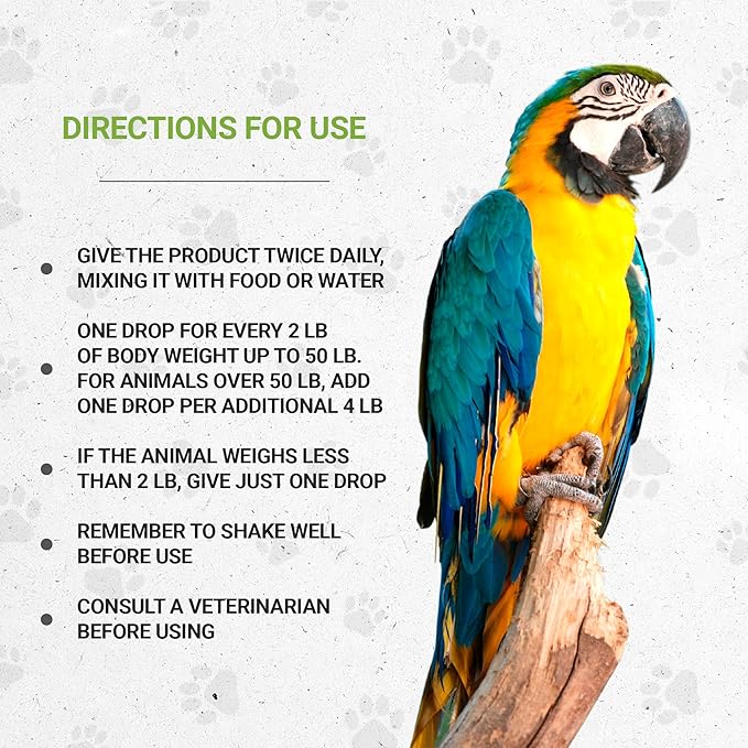 Birds Immunity | Natural Herbal Dietary Pet Supplement for Birds | Immune Support | Alcohol-Free Extract, Elder Flowers, Calendula, Dandelion Root, Rosemary, Fennel 2 oz