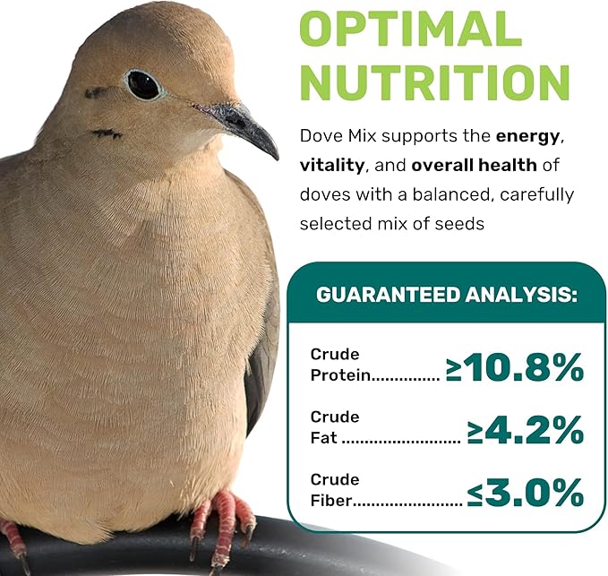 Dove Mix 25 Lbs, Dove Food, Premium Dove Bird Seed, Nut Free Mix Feed for Dove, Nutrient-Rich Mixed Birdseeds, Supports Daily Energy Growth & Healthy Balanced Diet, Bird Seed for Outside Feeders