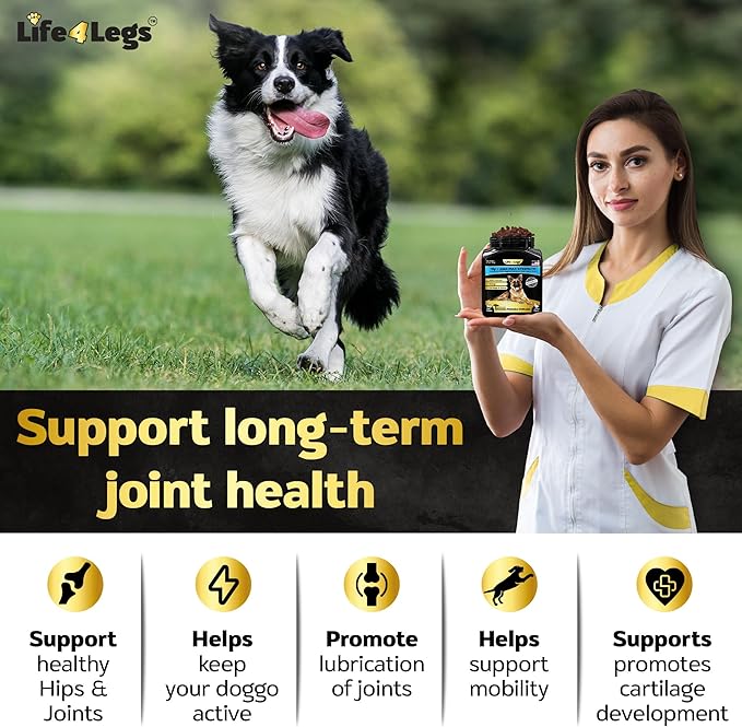 Soft Chews Hip and Joint Supplement for Dogs - Dog Joint Pain Relief Treats - Glucosamine, Chondroitin, Turmeric - Mobility Bites Supplement