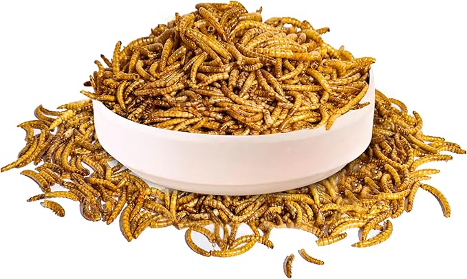 500g Dried Mealworms Treat for Chicken, 100% Natural Non-GMO High Protein Organic Chicken Feed for Birds, Ducks, Layer Hens