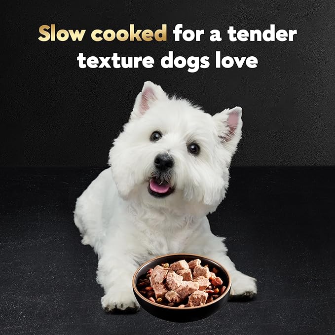 Cesar Filets in Gravy, Adult Wet Dog Food, Rotisserie Chicken Flavor, Wet Food for Dogs, 3.5 oz Trays, 24 Count (Pack of 2)